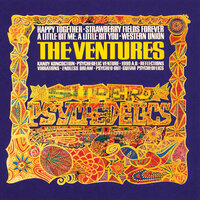 The Ventures - Vibrations